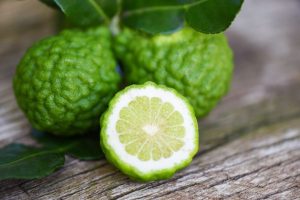 Bergamot Extract