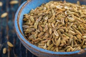 Fennel Seed Extract