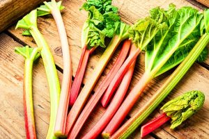 Rhubarb Root; Rich in antioxidants; healthy cholesterol levels; protection against cancer