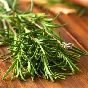 Rosemary; cognitive support; anti-inflammatory properties; herb that nurtures the mind